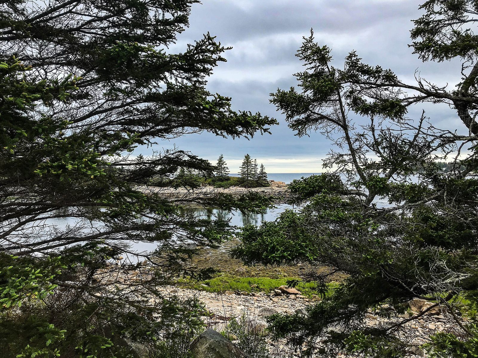 Acadia National Park